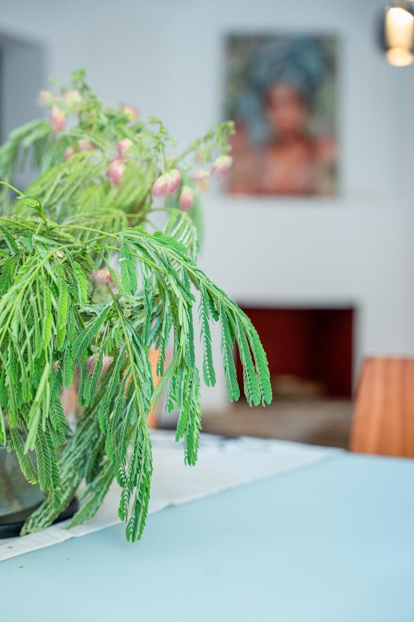 Otium Living Appartement Volos Buitenkant foto